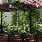 Arcadia & Sea Terrace