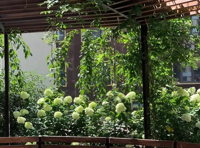 Arcadia & Sea Terrace